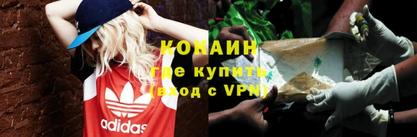 соль ск Богданович