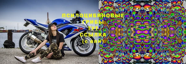 прущий лед Богородск