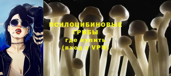 прущий лед Богородск