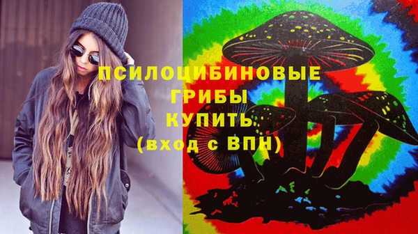 соль ск Богданович