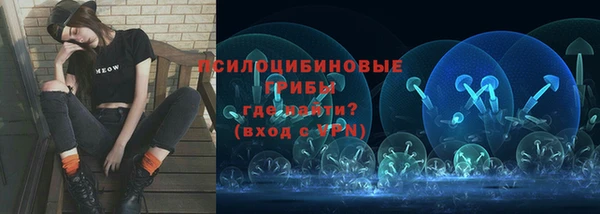 ECSTASY Лабытнанги