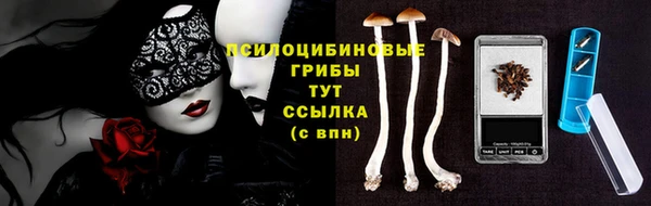a pvp Беломорск