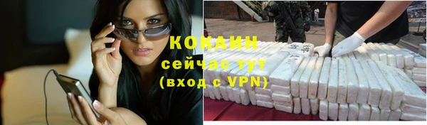 соль ск Богданович